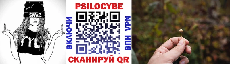 Псилоцибиновые грибы мицелий ОМГ ОМГ зеркало Мариинск наркотики